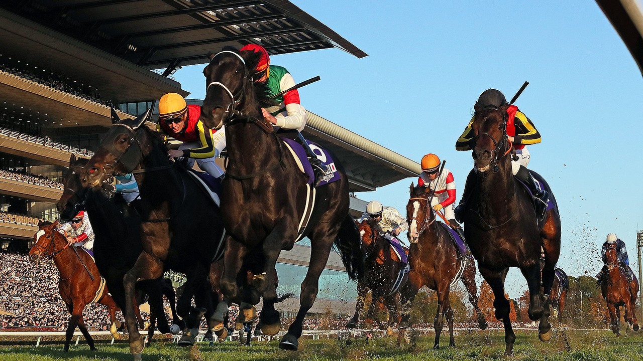 Japan Cup Hero Vela Azul's Incredible Improvement After ... Image 2